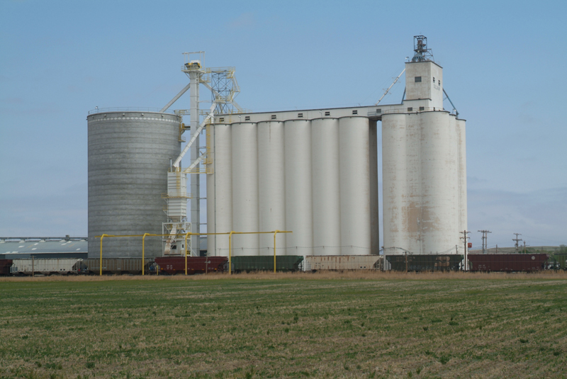 The Scoular Co.